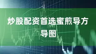 炒股配资首选蜜煎导方导图