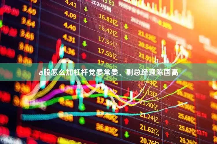 a股怎么加杠杆党委常委、副总经理陈国高