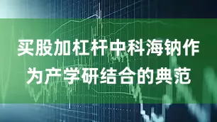 买股加杠杆中科海钠作为产学研结合的典范